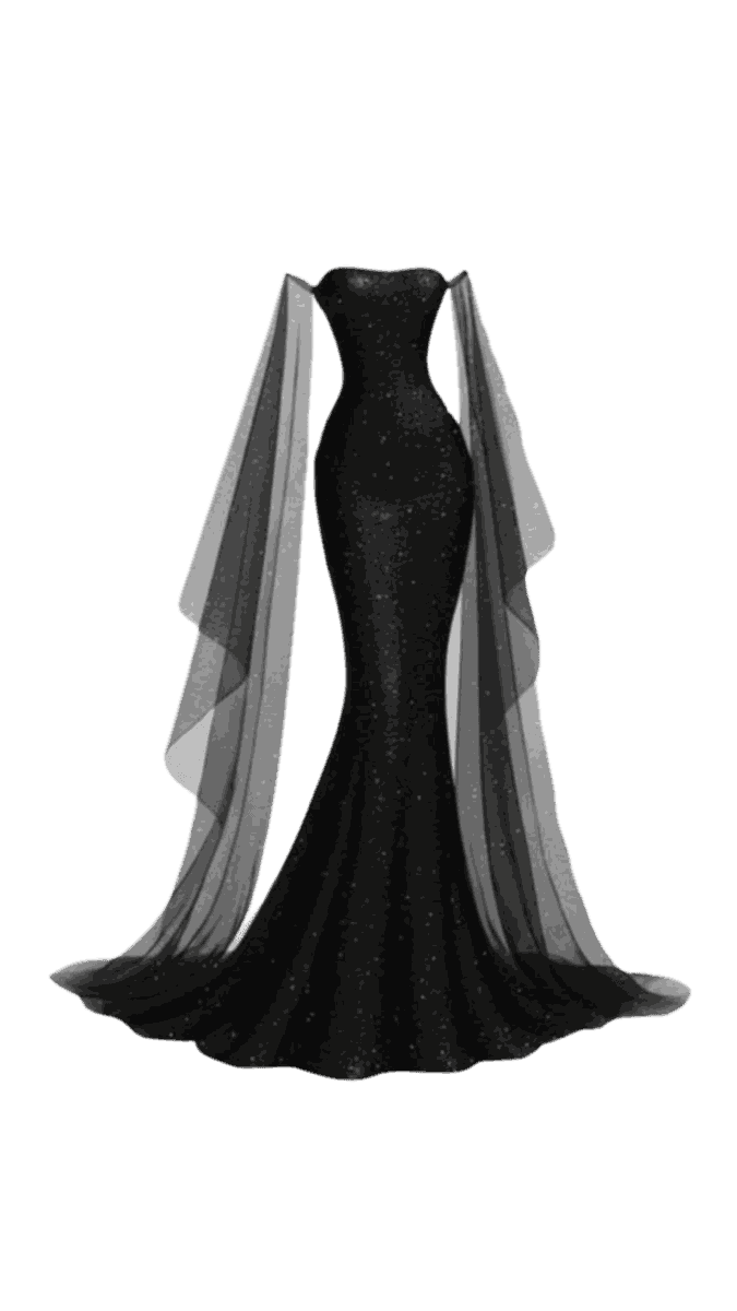A black gown with a sheer veil
