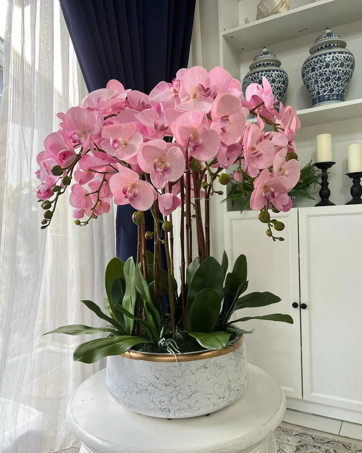 A pink phalaenopsis orchid planted in a bowl beside a curtained window