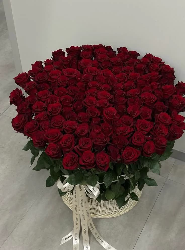 A vast dome of deep red roses in a basket