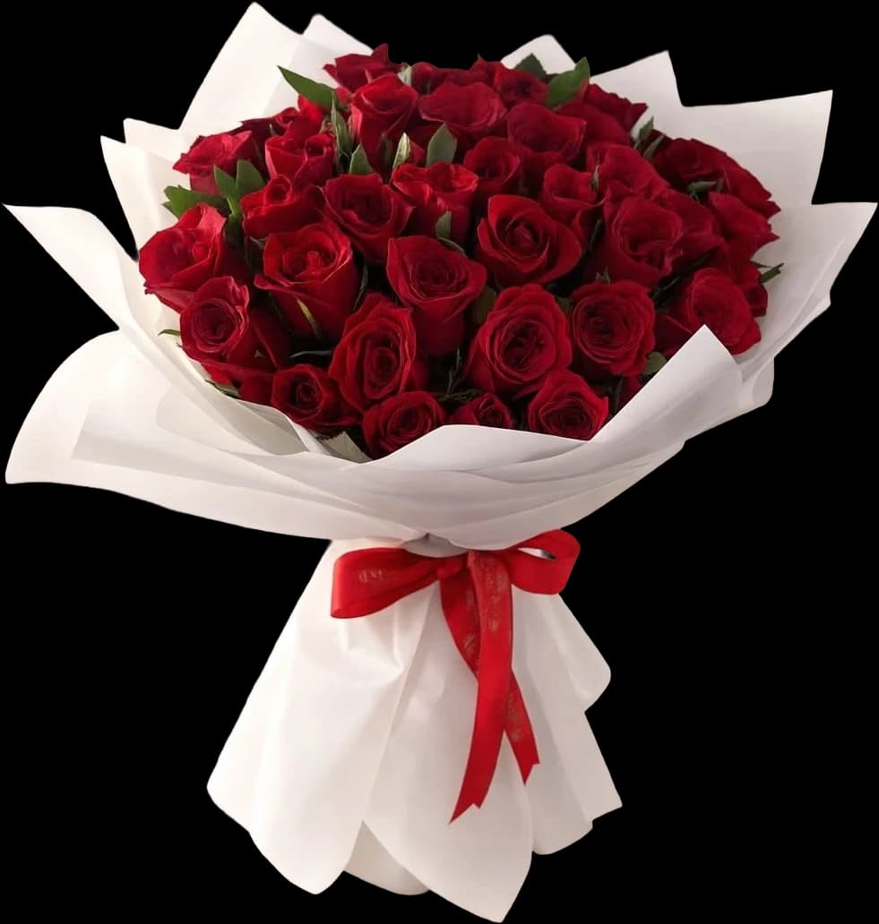 A large bunch of velvet red roses in a white collar with a red bow