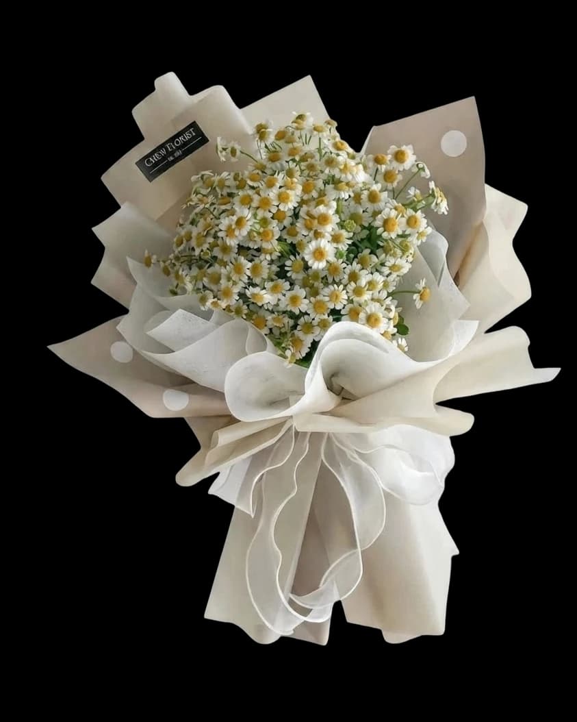 White chamomile daisies in a soft white wrap