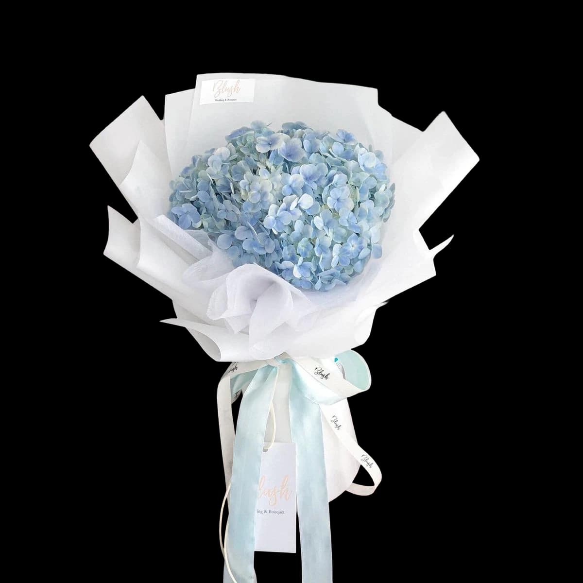 Blue hydrangea heads in a white paper collar with a pale ribbon